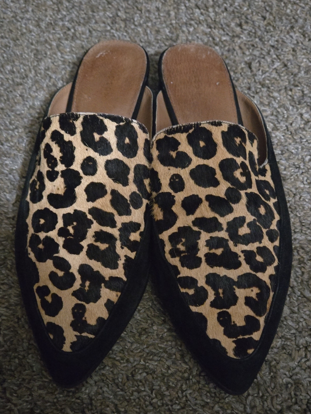 Halogen,Leopard Print Pointed Toe Slip-On Mules - Black & Tan